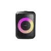 Grundig Party Hit zwart draadloos 90 W