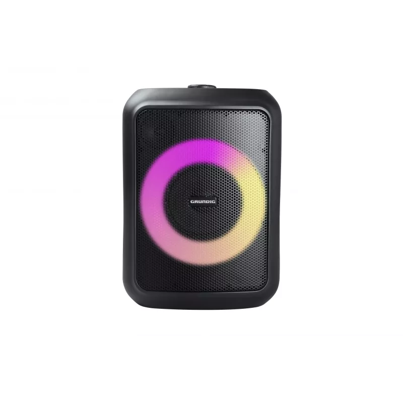 Grundig Party Hit zwart draadloos 90 W