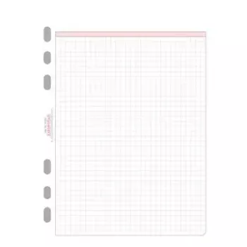 Avery Zweckform Chronoplan 50304 geruite inlegvellen voor A5-planner, 50 vellen, 80 g/m²