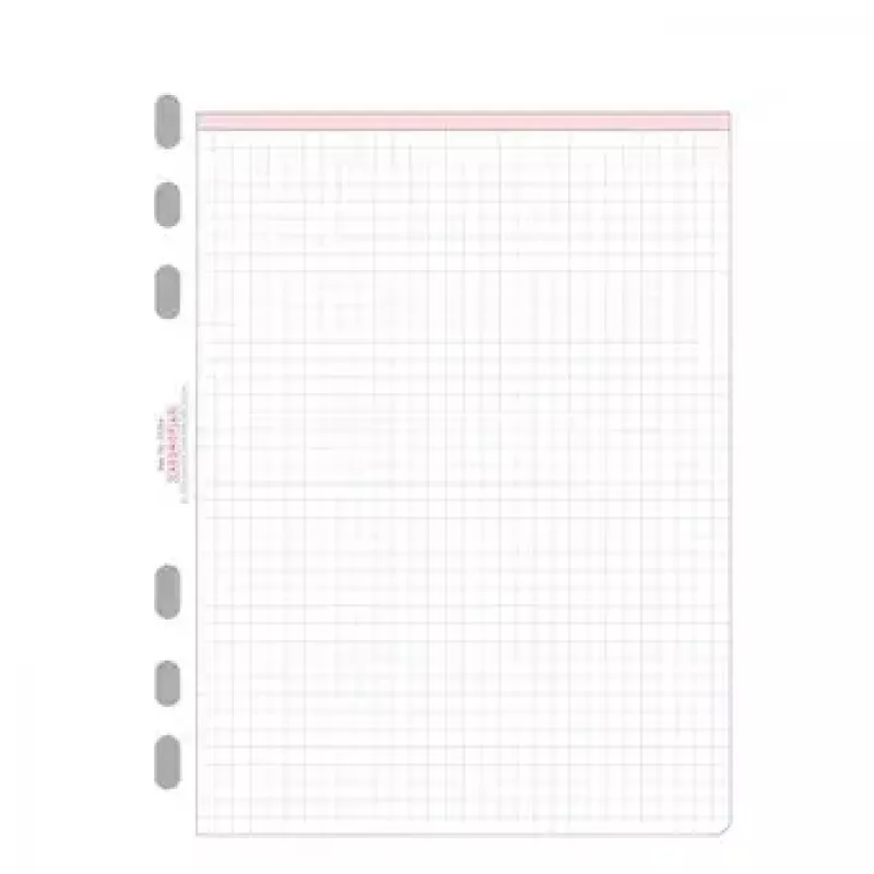 Avery Zweckform Chronoplan 50304 geruite navulbladen voor A5-planner, 50 vellen, 80 g/m²