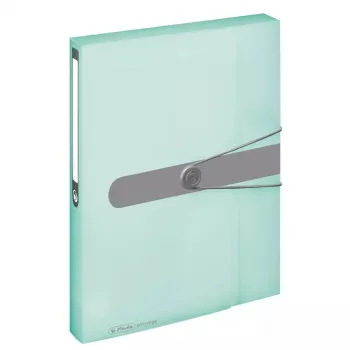 Box-archiefordner Herlitz 11409000 mintkleur