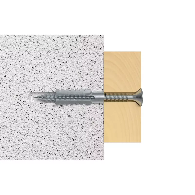 Schroefanker Fischer 61224