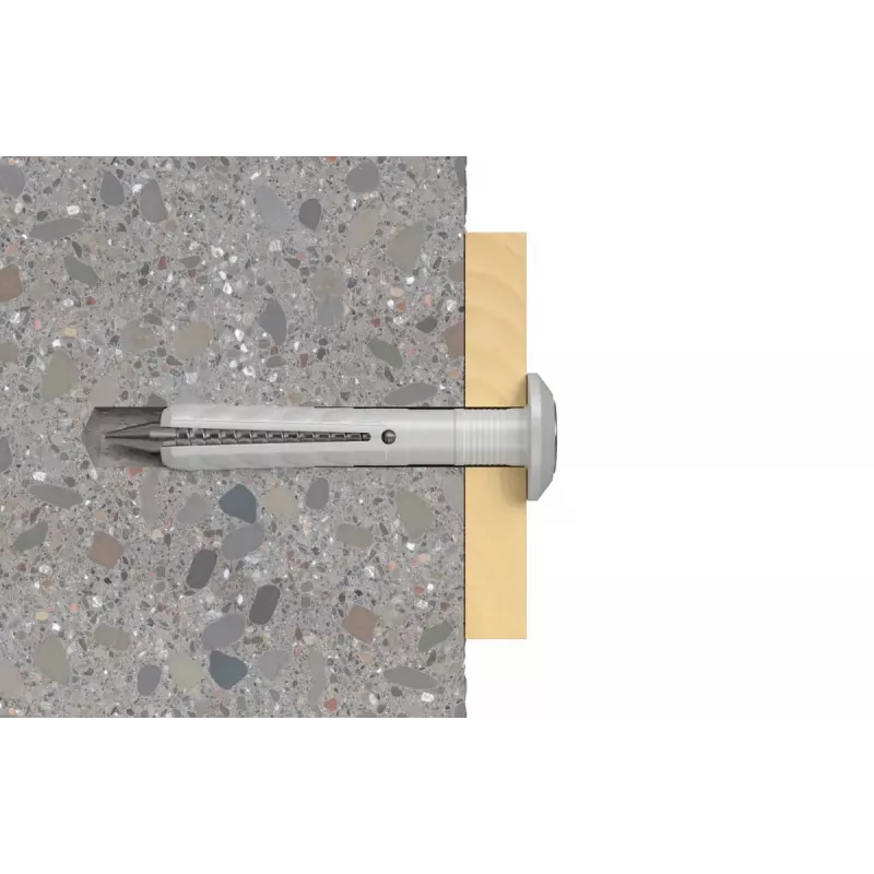 Plug- en schroevenset Fischer 48795