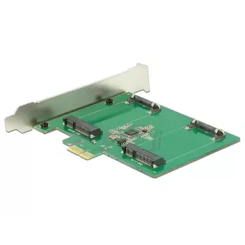 Interne mSATA-adapter DeLOCK 89479