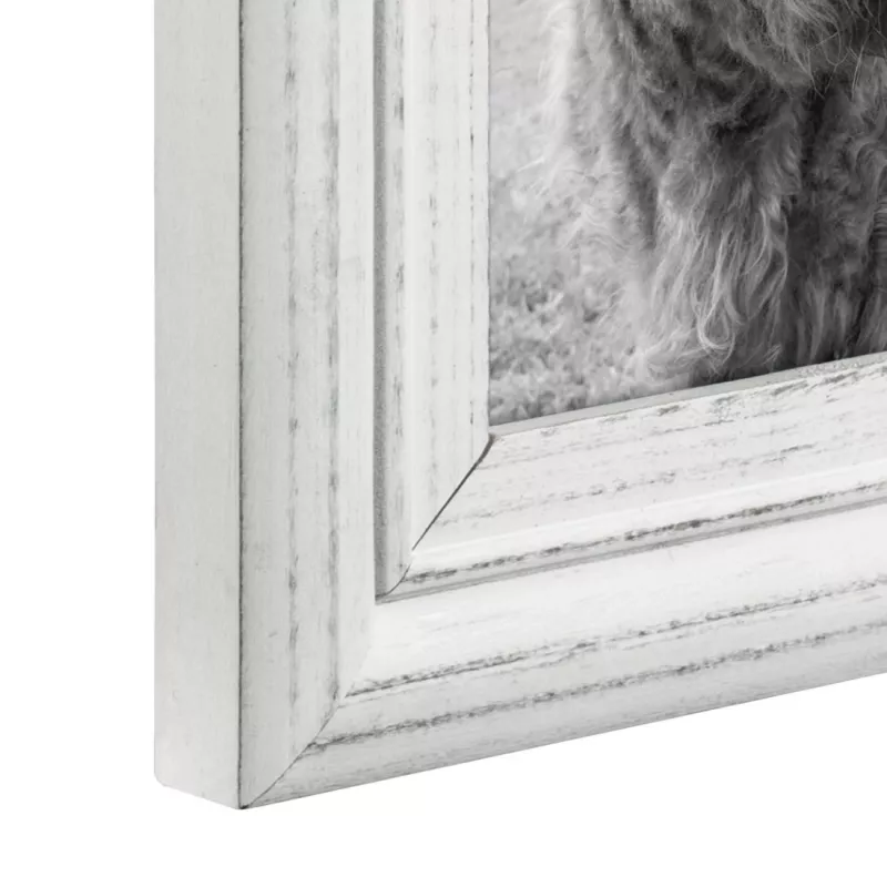 Enkele fotolijst Hama Canuto wit glas hout