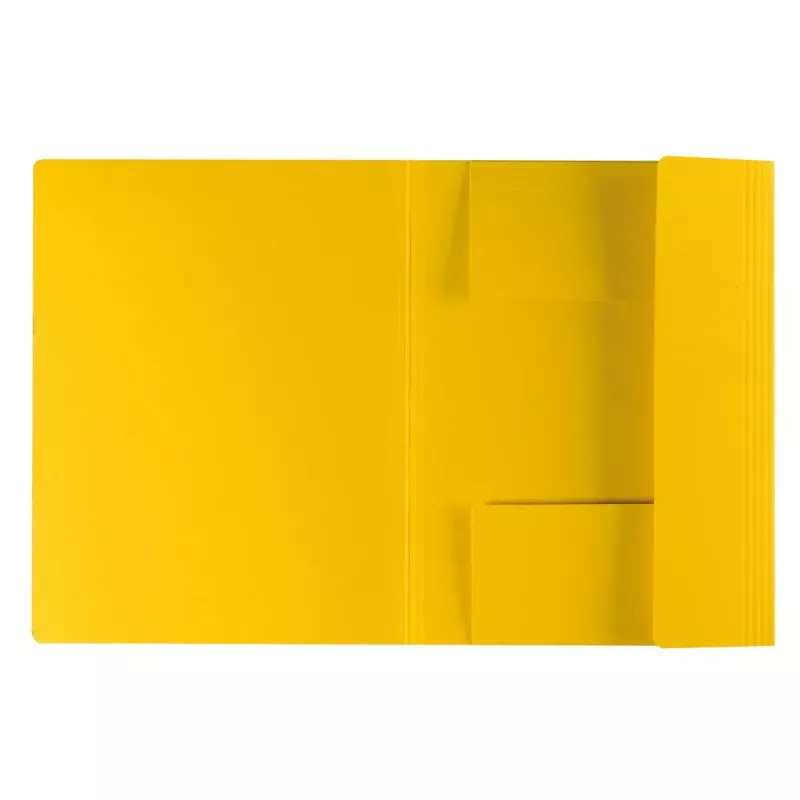 Kartonnen ordner Herlitz 11076437