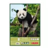 Herlitz 10416634 tekenblok, A3, 25 vellen, 100 g/m2