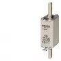 Siemens 3NA3030 zekering hoogspanning 1 st.