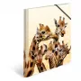 Documentenmap HERMA Giraffe Friends polypropyleen (PP) meerkleurig A4