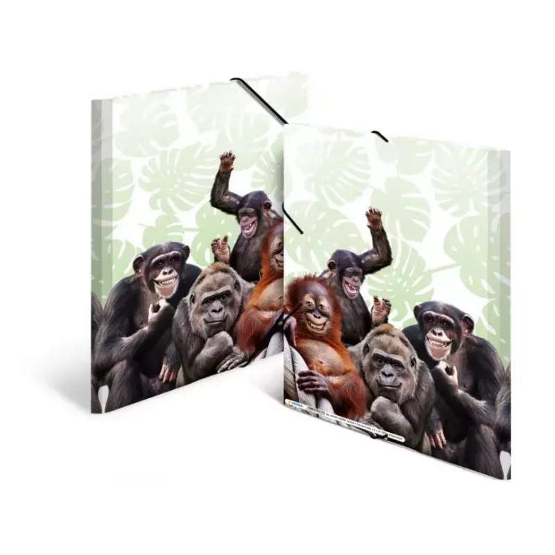 Verzamelmap HERMA Affenbande 19960
