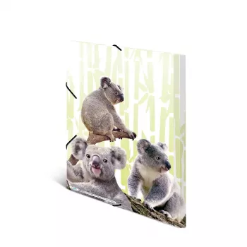 Ordner HERMA Koalafamily A3