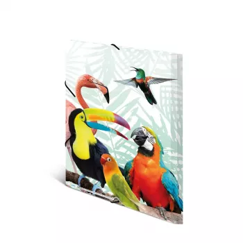 Map HERMA Tropical Clique A3