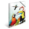 Map HERMA Tropical Clique A3