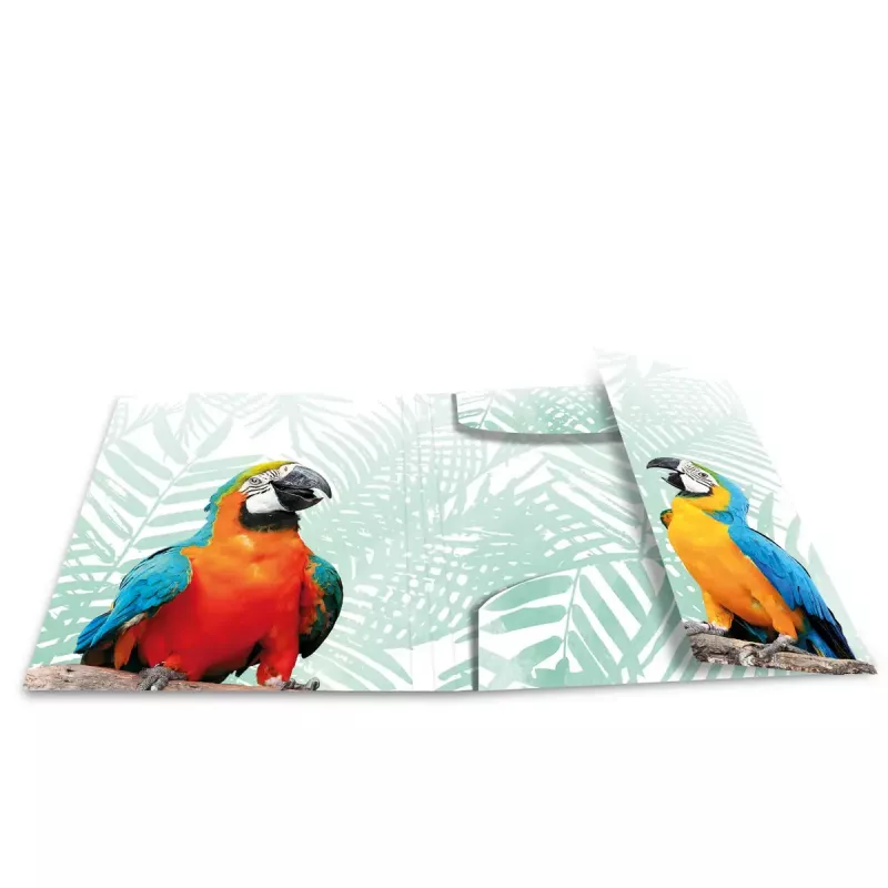 Map HERMA Tropical Clique A3