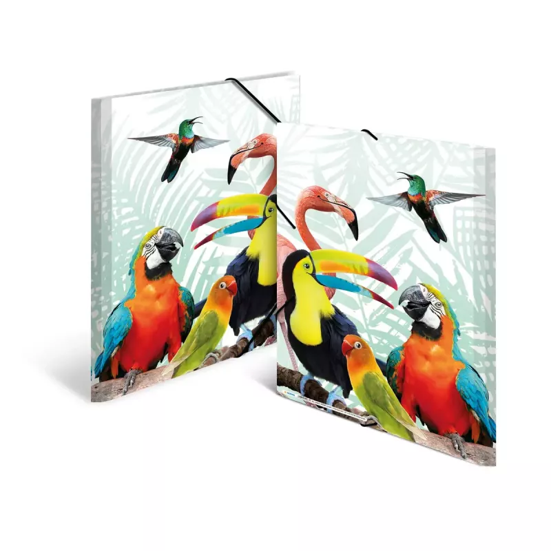 Map HERMA Tropical Clique A3