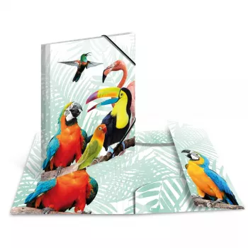 Map HERMA Tropical Clique A3