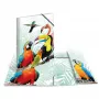 Map HERMA Tropical Clique A3