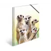 Verzamelmap HERMA Erdmännchen-Clique