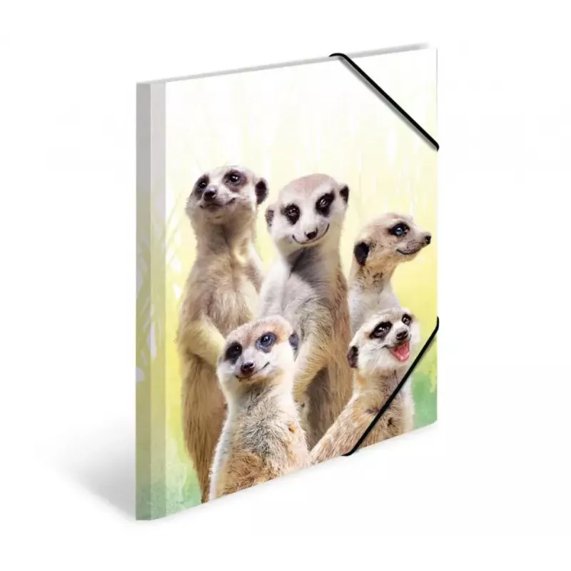 Verzamelmap HERMA Erdmännchen-Clique