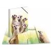 Verzamelmap HERMA Erdmännchen-Clique