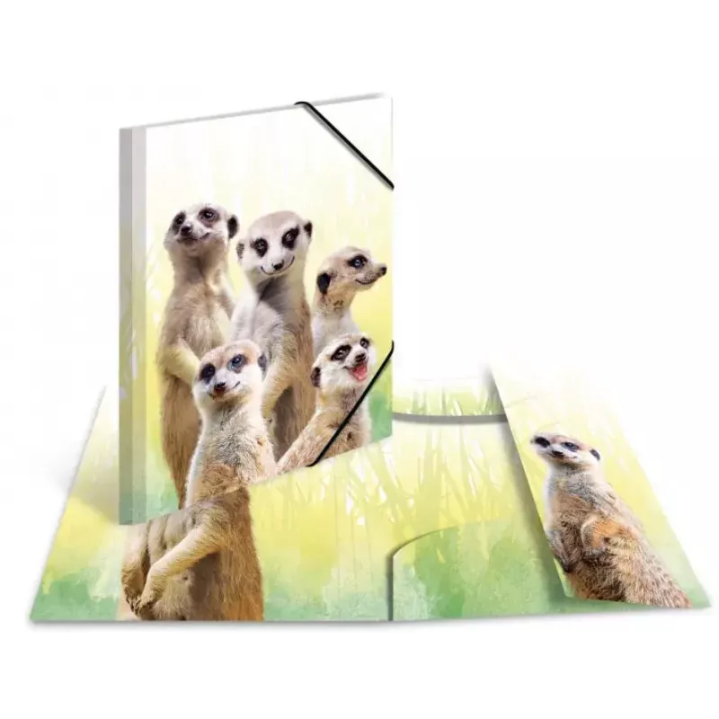 Verzamelmap HERMA Erdmännchen-Clique