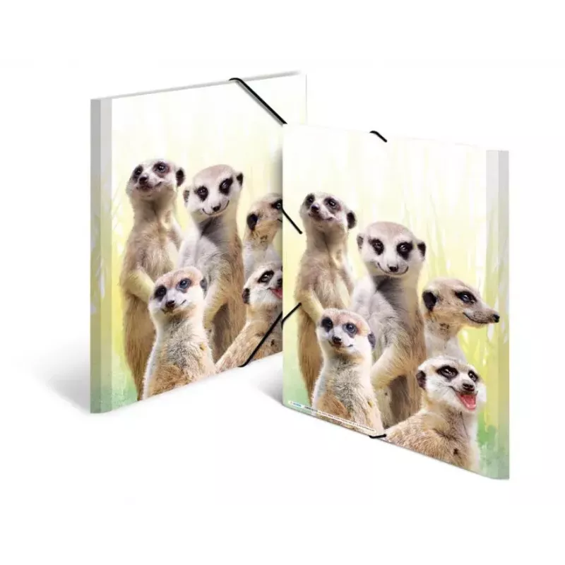 Verzamelmap HERMA Erdmännchen-Clique