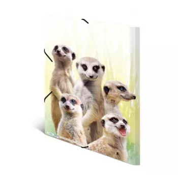 Verzamelmap HERMA Erdmännchen-Clique