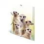 Verzamelmap HERMA Erdmännchen-Clique