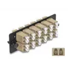DeLOCK glasvezel-adapterplaat LC Duplex OM1 OM2 12 poorten beige