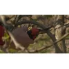 Bypass-tuinschaar Bahco PXR-M2 zwart rood roestvrij staal