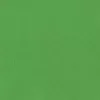 Achtergronddoek Hama 00021158 groen katoen 2950 mm x 6000 mm