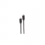 shiverpeaks BASIC-S USB-C naar USB-C-kabel, USB 3.2 Gen 2x2, 100 W, 2 m
