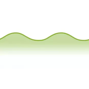 Universele schaar voor figuursnijden Wedo 77 1901 groen 160 mm