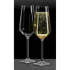 Champagnefluit Ritzenhoff & Breker mambo 4 stuks