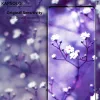 Gehard glas KAPSOLO iPhone X