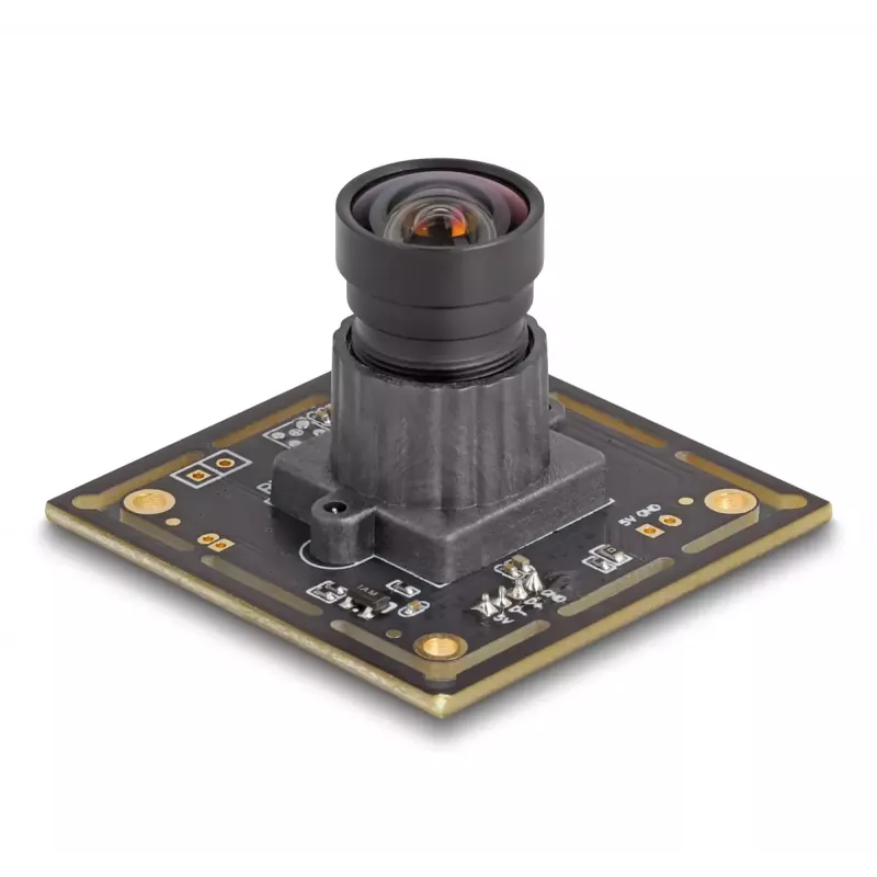 Webcam DeLOCK 12072 2,1 MP 1920 x 1080 USB 2.0 zwart
