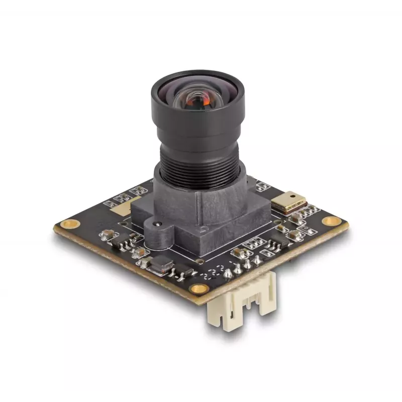 DeLOCK webcam 12074 2,1 MP 1920 x 1080 USB 2.0 zwart