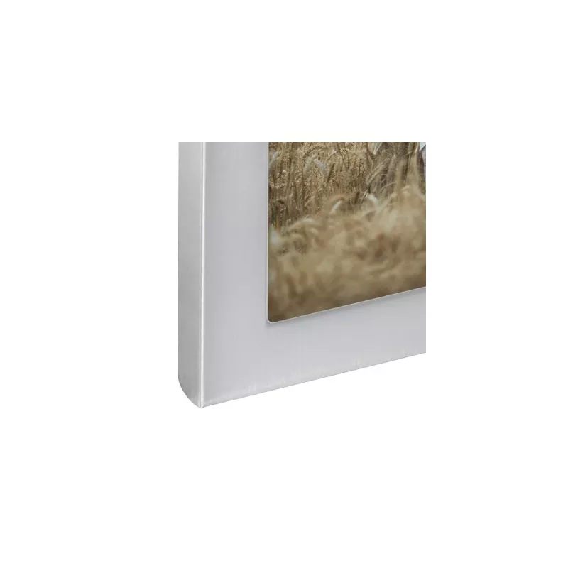 Hama 00193118 fotolijst meervoudige fotolijst zilver