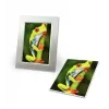 Fotopapier Avery C2549-20P hoogglans