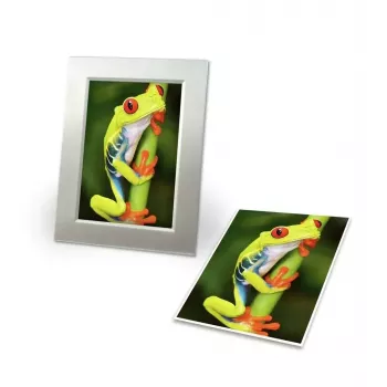 Fotopapier Avery C2549-20P hoogglans
