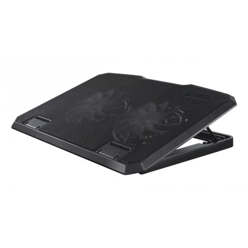 Hama 00126806 Black Metal laptopkoeler, kantelbaar, stil, 2 ventilatoren, tot 40 cm (15,6 inch), zwart