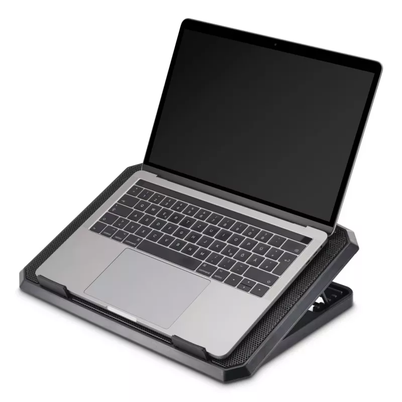 Hama 00126806 Black Metal laptopkoeler, kantelbaar, stil, 2 ventilatoren, tot 40 cm (15,6 inch), zwart
