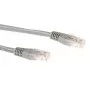 ACT Grijs 0,25 meter LSZH U/UTP CAT6A patchkabel met RJ45-stekkers