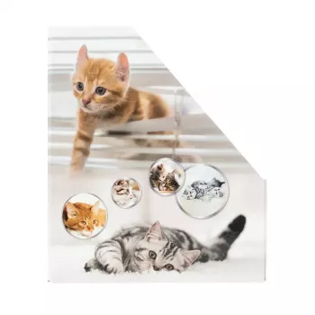 Tijdschriftenverzamelaar HERMA rechtopstaande verzamelaar katten A4 geel