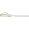 Netwerkkabel Renkforce RF-4149858 0,25 m Cat6a S/FTP grijs