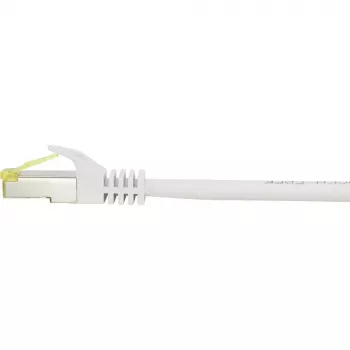 Netwerkkabel Renkforce RF-4149858 0,25 m Cat6a S/FTP grijs