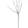 Netwerkkabel Renkforce RF-4149858 0,25 m Cat6a S/FTP grijs
