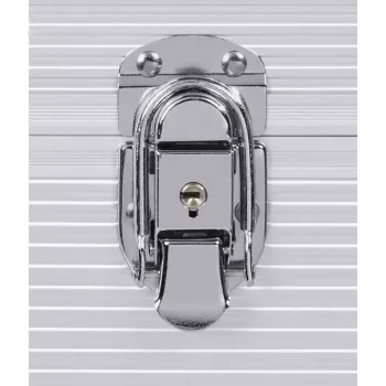 Hama 00181435 opbergkoffer Microgroove platencollectiekoffer zilver