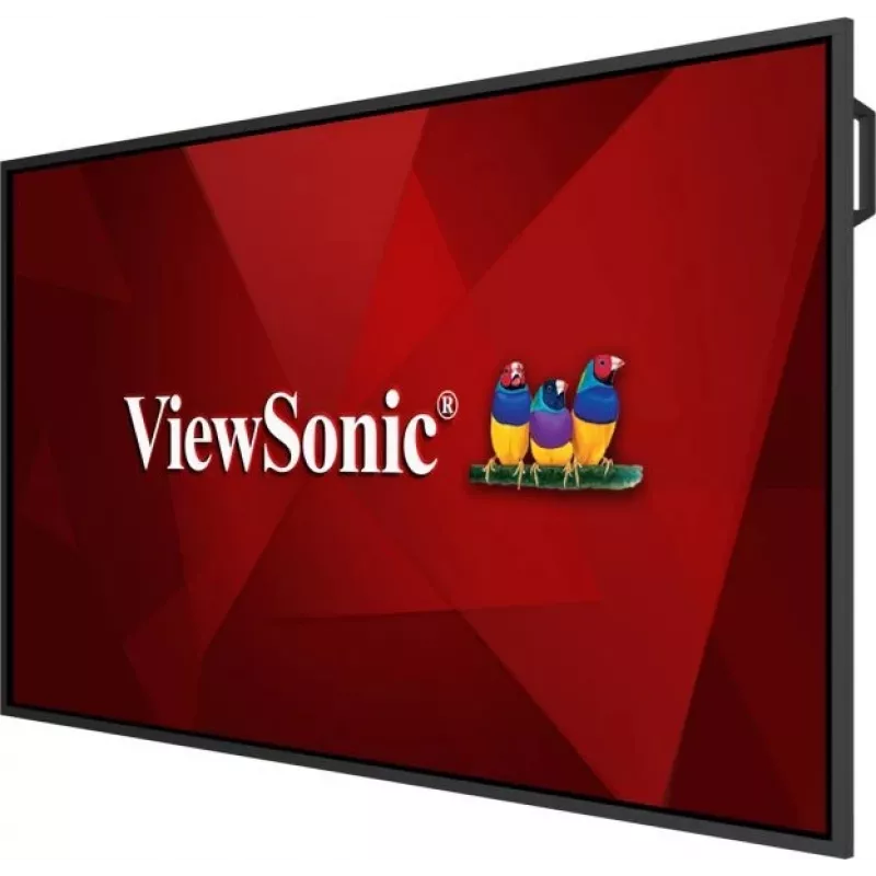 Viewsonic 65 inch 4K OS-vrij commercieel display, digital-signage flatscreen, 165,1 cm (65 inch), LCD, 3840 x 2160 pixel, 24/7