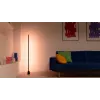WiZ slimme verlichting slimme vloerlamp Wi-Fi/Bluetooth 9,7 W